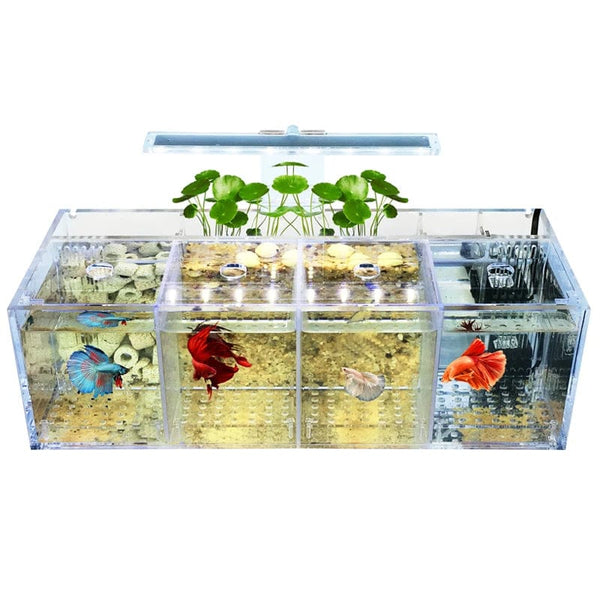 Planet Gates 220V Creative Betta Fish Tank Breeding Incubator Isolation Box Water-free Desktop Small Acrylic Ecological Aquarium Tank
