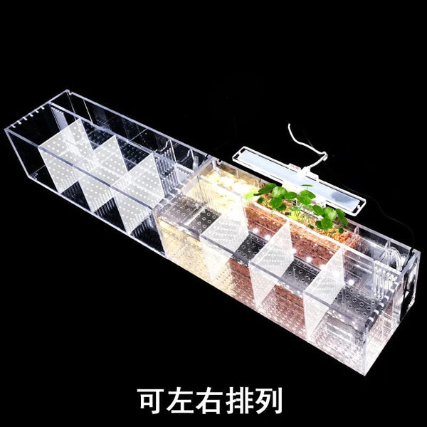 Planet Gates 220V Creative Betta Fish Tank Breeding Incubator Isolation Box Water-free Desktop Small Acrylic Ecological Aquarium Tank