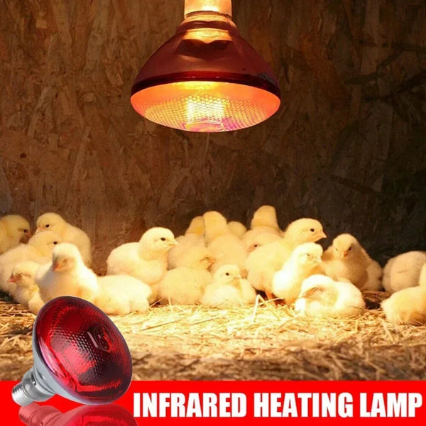 Planet Gates 220V Poultry Heating Bulb 100/150/200/275W Infrared Insulation Heating for Reptiles Plants Amphibians Pets Livestock