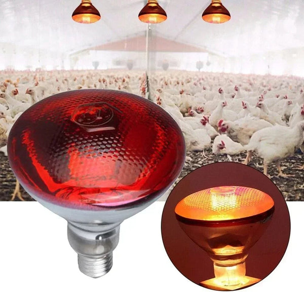 Planet Gates 220V Poultry Heating Bulb 100/150/200/275W Infrared Insulation Heating for Reptiles Plants Amphibians Pets Livestock