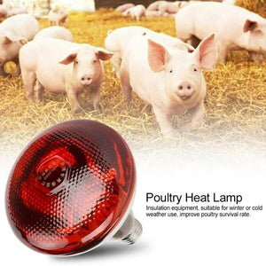 Planet Gates 220V Poultry Heating Bulb 100/150/200/275W Infrared Insulation Heating for Reptiles Plants Amphibians Pets Livestock
