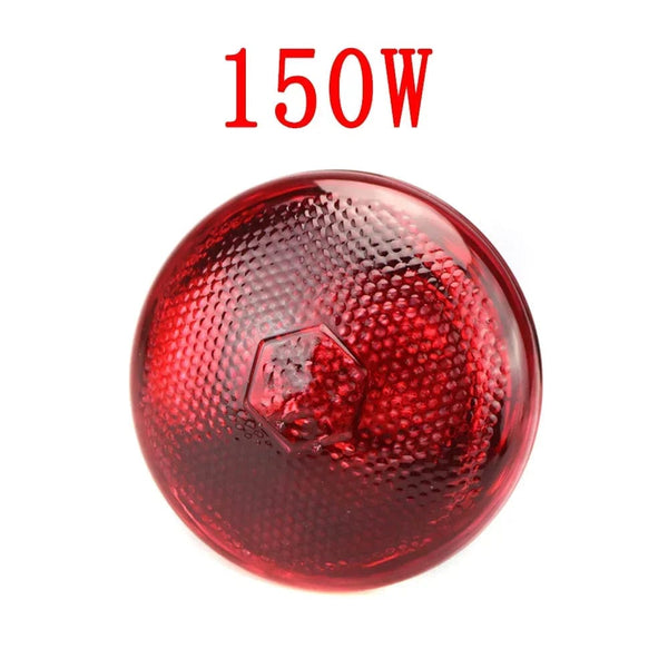 Planet Gates 220V Poultry Heating Bulb 100/150/200/275W Infrared Insulation Heating for Reptiles Plants Amphibians Pets Livestock