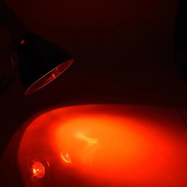 Planet Gates 220VE27 25W 50W 100W UVA+UVB Reptile Lamp Turtle Tortoise Pet Basking UV Bulbs Heating Lamp Amphibians Lizard Heating Sun Bulb