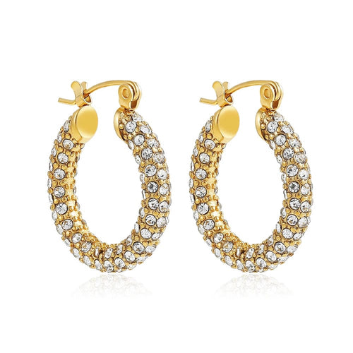 Planet Gates 22339 3 Fashion CZ Zircon Round Huggie Hoop Earrings for Women Geometric U Shape Ear Buckle Hoops Gold Plated Stainless Steel Jewelry