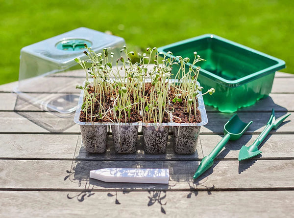 Planet Gates 2281 6/12/13 Grid Ventilation Germination Box With Ventilation Hole Cultivation Planting Box Square Round Seedling Starter Tray