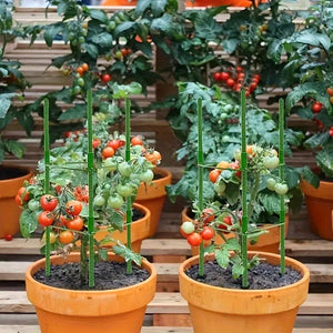 Planet Gates 24pcs/33pcs Plant Cages 119.99/159.99cm Tomato Cages Deformable Plant Supports Tomato Support Garden Plant Cages Multi-Functional Tomato Cucumber Trellis For Climbing Vegetables