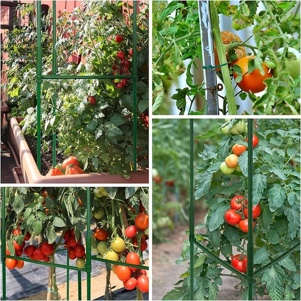 Planet Gates 24pcs/33pcs Plant Cages 119.99/159.99cm Tomato Cages Deformable Plant Supports Tomato Support Garden Plant Cages Multi-Functional Tomato Cucumber Trellis For Climbing Vegetables