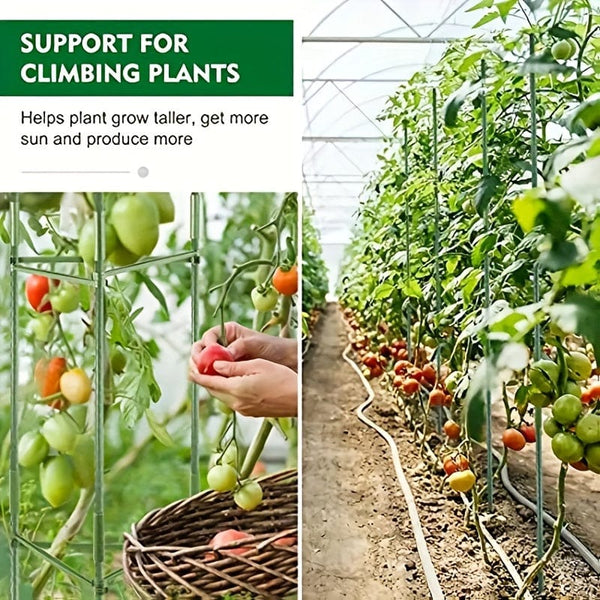 Planet Gates 24pcs/33pcs Plant Cages 119.99/159.99cm Tomato Cages Deformable Plant Supports Tomato Support Garden Plant Cages Multi-Functional Tomato Cucumber Trellis For Climbing Vegetables