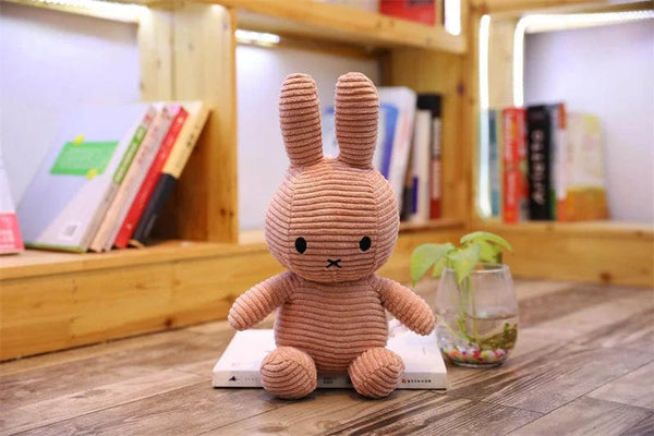 Planet Gates 25-30CM 2 Cute Doll Rag Baby Gift Rabbit Doll Toy Kids Sleeping Back Cushion Cute Stuffed Bunny Baby Accompany Doll Companion Appease Toys