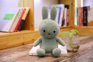 Planet Gates 25-30CM 5 Cute Doll Rag Baby Gift Rabbit Doll Toy Kids Sleeping Back Cushion Cute Stuffed Bunny Baby Accompany Doll Companion Appease Toys