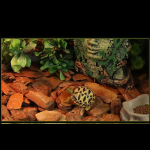 Planet Gates 250g/650g Reptile Lizard Turtle Snake Accessory Bedding Material Pine Tree Bark Granules