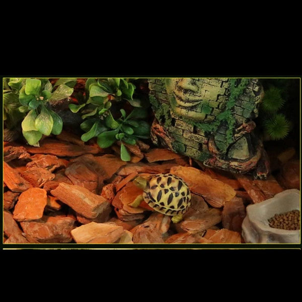 Planet Gates 250g/650g Reptile Lizard Turtle Snake Accessory Bedding Material Pine Tree Bark Granules