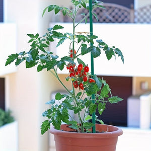 Planet Gates 25pcs 25pcs, Bamboo Plant Stakes, Plant Sticks Support, Floral Plant Support Wooden, Indoor Gardening Plant Supports, Wooden Sign Posting Garden Sticks