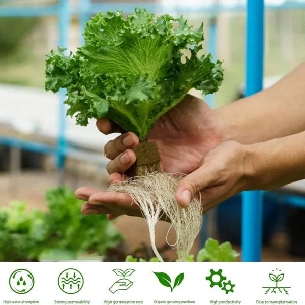 Planet Gates 25x25x25 50pcs 25x25x25mm Stonewool Hydroponic Grow Media Cubes Plant Cubes Soilless Substrate Seeded Rock Wool Plug Seedling Block