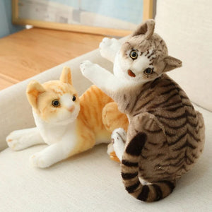 Planet Gates 26cm Real-life Cute Plush Cat Doll Soft Stuffed Animal Plush Kitten Toys for Children Cartoon Kids Girl Baby Birthday Gift
