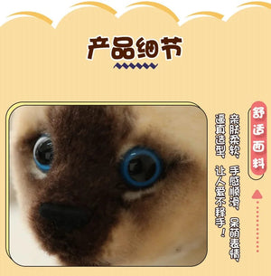 Planet Gates 26cm Real-life Cute Plush Cat Doll Soft Stuffed Animal Plush Kitten Toys for Children Cartoon Kids Girl Baby Birthday Gift