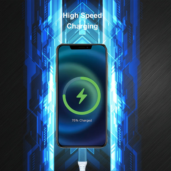 Planet Gates 2m Fast Charging Flow Light USB Charging Cable TYPE-C Fast Charging And Data Transmission