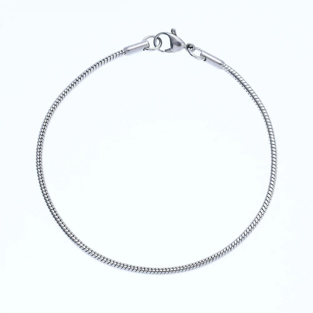 Planet Gates 2MM / 18.5cm New 2MM Stainless Steel Snake Chain Bracelet Fashion Titanium Steel Link Bracelet For Women Length 18.5/20CM drop shipping