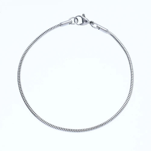 Planet Gates 2MM / 18.5cm New 2MM Stainless Steel Snake Chain Bracelet Fashion Titanium Steel Link Bracelet For Women Length 18.5/20CM drop shipping