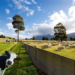 Planet Gates 2Mx4M Black Shade Cloth Sunblock Mesh Cover Taped Edge With Grommets, Sun Net For Pergola, Plants Greenhouse, Gardens, Patio, Canopy