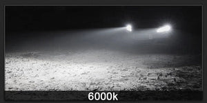 Planet Gates 2Pcs New H8 H16 JP Led H11 9005 HB3 9006 HB4 3030 12SMD Car LED Fog Light Bulbs 6000K White Auto Lamp Day Running Light 12000LM