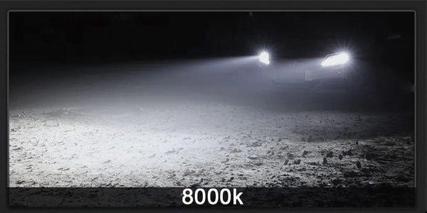 Planet Gates 2Pcs New H8 H16 JP Led H11 9005 HB3 9006 HB4 3030 12SMD Car LED Fog Light Bulbs 6000K White Auto Lamp Day Running Light 12000LM