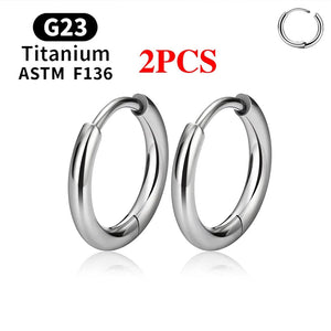 Planet Gates 2PCS Silver Color 1 / CHINA / 2X8MM 2/20PCS G23 Titanium Earring Hoop CZ Hinged Segment Round Nose Ring for Women Ear Tragus Cartilage Helix Daith Piercing Jewelry