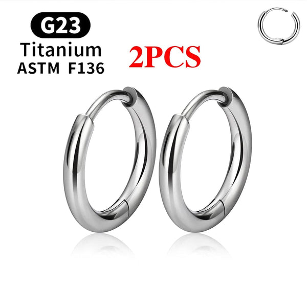 Planet Gates 2PCS Silver Color 1 / CHINA / 2X8MM 2/20PCS G23 Titanium Earring Hoop CZ Hinged Segment Round Nose Ring for Women Ear Tragus Cartilage Helix Daith Piercing Jewelry