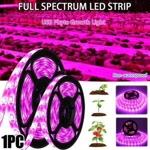 Planet Gates 3.28ft/1M 1pc, Plant Growth Lamp UV Phytolamp Plant Flower Greenhouse Cultivation Hydroponic Lamp 5V LED USB Grow Light Full Spectrum Growth Lamp Not Waterproof