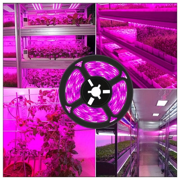 Planet Gates 3.28ft/1M 1pc, Plant Growth Lamp UV Phytolamp Plant Flower Greenhouse Cultivation Hydroponic Lamp 5V LED USB Grow Light Full Spectrum Growth Lamp Not Waterproof