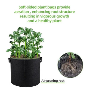 Planet Gates 3 Gallon 25 X 22 CM 5Pcs 3/4/5/7/10 Gallon Felt Grow Bags Gardening Fabric Grow Pot Vegetable Strawberry Growing Planter Garden Potato Planting Pots