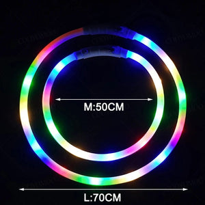 Planet Gates 3 Modes Dog Luminou Charge Collar Led Usb Cat Silicone Colorful Collar Detachable Night Glow Pet Loss Prevention Dog Accessories
