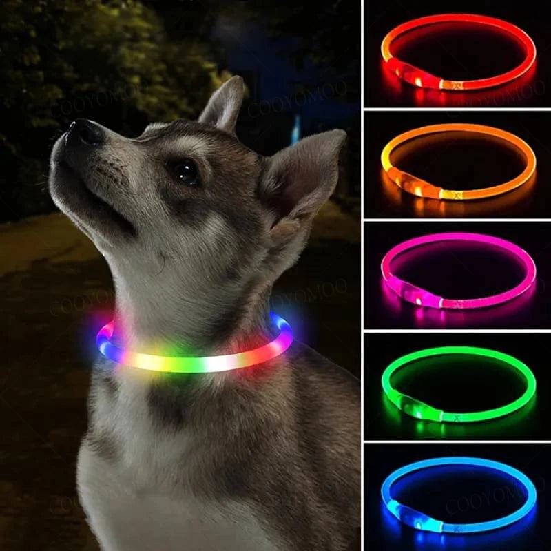 Planet Gates 3 Modes Dog Luminou Charge Collar Led Usb Cat Silicone Colorful Collar Detachable Night Glow Pet Loss Prevention Dog Accessories