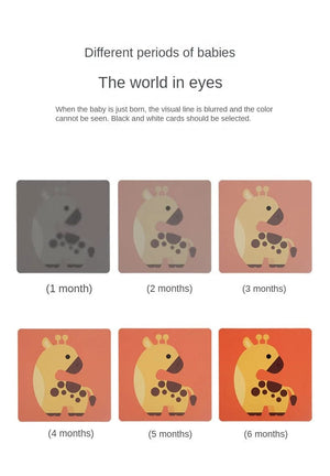 Planet Gates 3 to 6 Months Vision Trigger Cards Early Education Cards Training Newborn Babies Visual Stimulation Practice Montessori Toy
