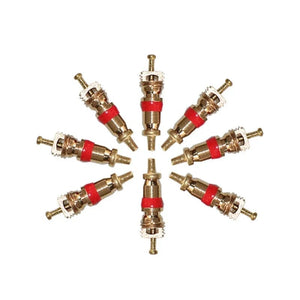 Planet Gates 300PCS Copper Tire Valve Core Removal Tools Kit Valve Core Wrench Screw Driver with Zinc Plated For Car Truck Bike Motorcycle Wheel