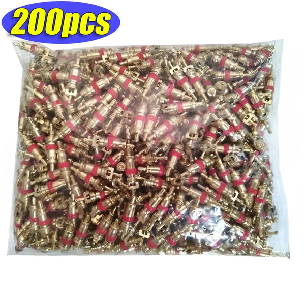 Planet Gates 300PCS Copper Tire Valve Core Removal Tools Kit Valve Core Wrench Screw Driver with Zinc Plated For Car Truck Bike Motorcycle Wheel