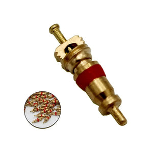 Planet Gates 300PCS Copper Tire Valve Core Removal Tools Kit Valve Core Wrench Screw Driver with Zinc Plated For Car Truck Bike Motorcycle Wheel