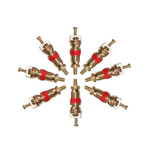 Planet Gates 300PCS Copper Tire Valve Core Removal Tools Kit Valve Core Wrench Screw Driver with Zinc Plated For Car Truck Bike Motorcycle Wheel