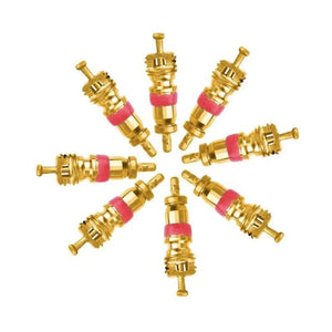 Planet Gates 300PCS Copper Tire Valve Core Removal Tools Kit Valve Core Wrench Screw Driver with Zinc Plated For Car Truck Bike Motorcycle Wheel