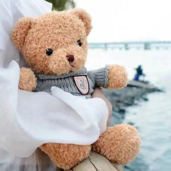 Planet Gates 30cm40cm Plush Sweater Bear Toys Dolls Dolls Cute Dress Up Bear Birthday Gift Soothing sleep