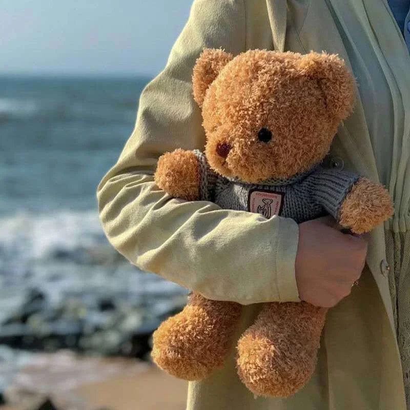 Planet Gates 30cm40cm Plush Sweater Bear Toys Dolls Dolls Cute Dress Up Bear Birthday Gift Soothing sleep