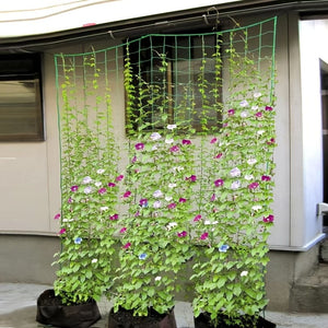 Planet Gates 35.4*70.9 inch Grow Upright and Strong with Outdoor Heavy-Duty Garden Plant Trellis Netting!