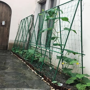 Planet Gates 35.4*70.9 inch Grow Upright and Strong with Outdoor Heavy-Duty Garden Plant Trellis Netting!