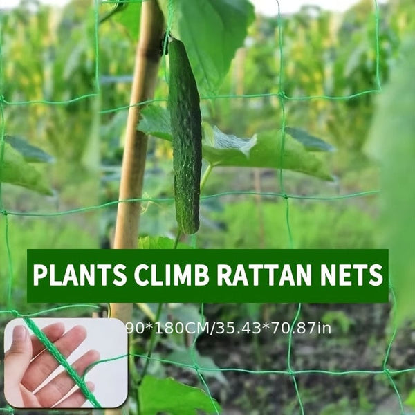 Planet Gates 35.4*70.9 inch Grow Upright and Strong with Outdoor Heavy-Duty Garden Plant Trellis Netting!