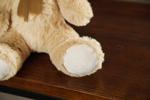 Planet Gates 35CM Cute Colorful Bow Tie Bear Doll Plush Toy Hug Bear Doll Children Birthday Gift Pillow Teddy bear Home Living Room Bedroom