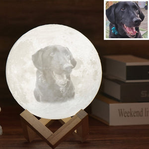 Planet Gates 3D Printed Photo Moon Lamp Night Light Customizable Home Decoration USB Rechargeable with Remote Control 16 Color Lights Ideal Birthday Gift