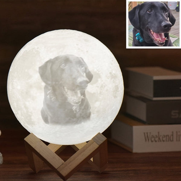 Planet Gates 3D Printed Photo Moon Lamp Night Light Customizable Home Decoration USB Rechargeable with Remote Control 16 Color Lights Ideal Birthday Gift