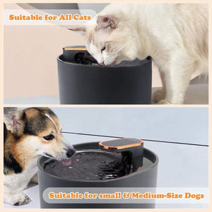 Planet Gates 3L Cat Water Fountain with Motion Sensor Automatic Dog Water Dispenser with LED Light Ultra Silent Pet Drinking Water Fountain
