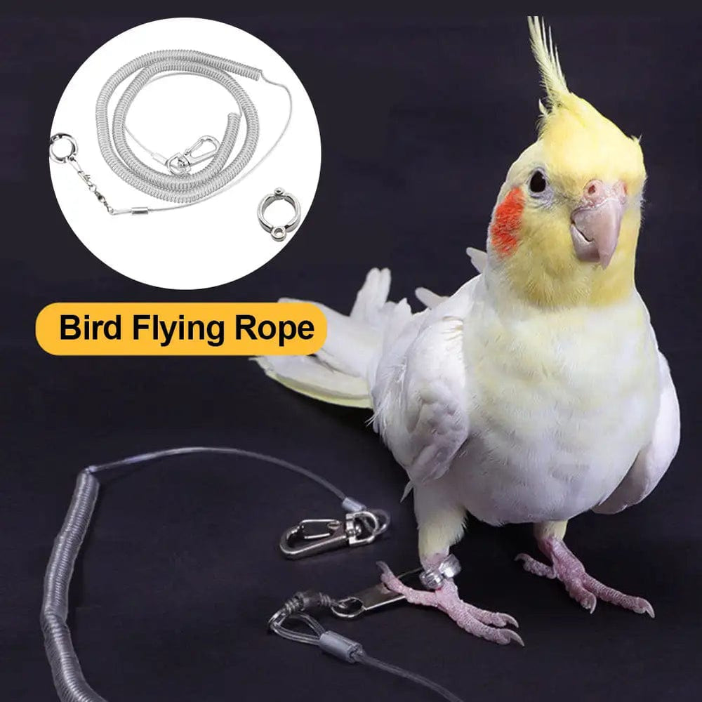 Planet Gates 3M 3.5mm 3M/6M Parrot Bird Flying Training Leash Ultra-light Flexible Rope Anti-bite with Leg Ring Harness Bird Training Rope Outdoor