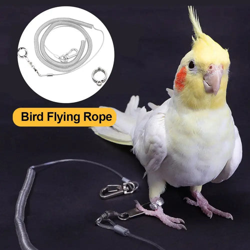 Planet Gates 3M 3.5mm 3M/6M Parrot Bird Flying Training Leash Ultra-light Flexible Rope Anti-bite with Leg Ring Harness Bird Training Rope Outdoor